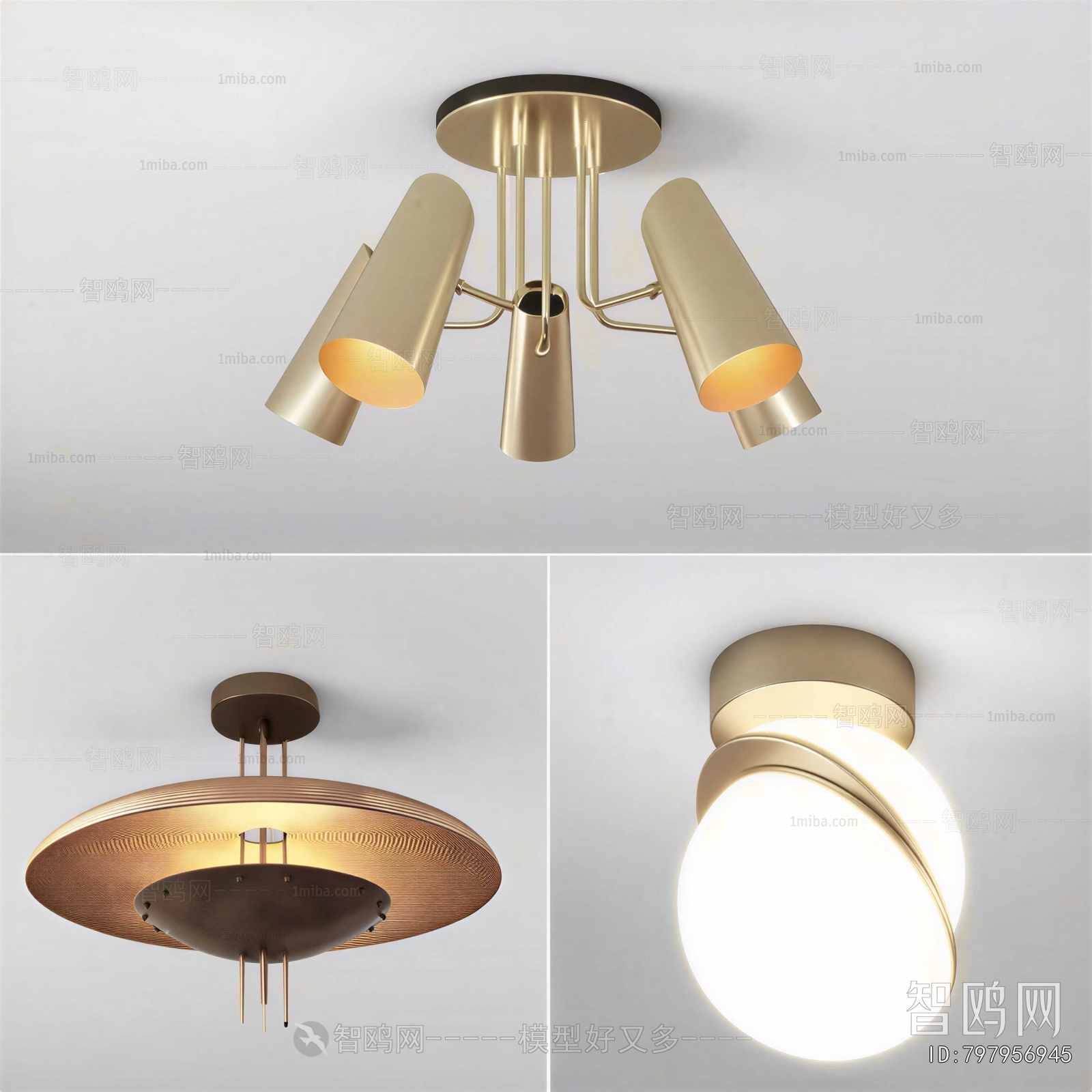 Modern Ceiling Ceiling Lamp