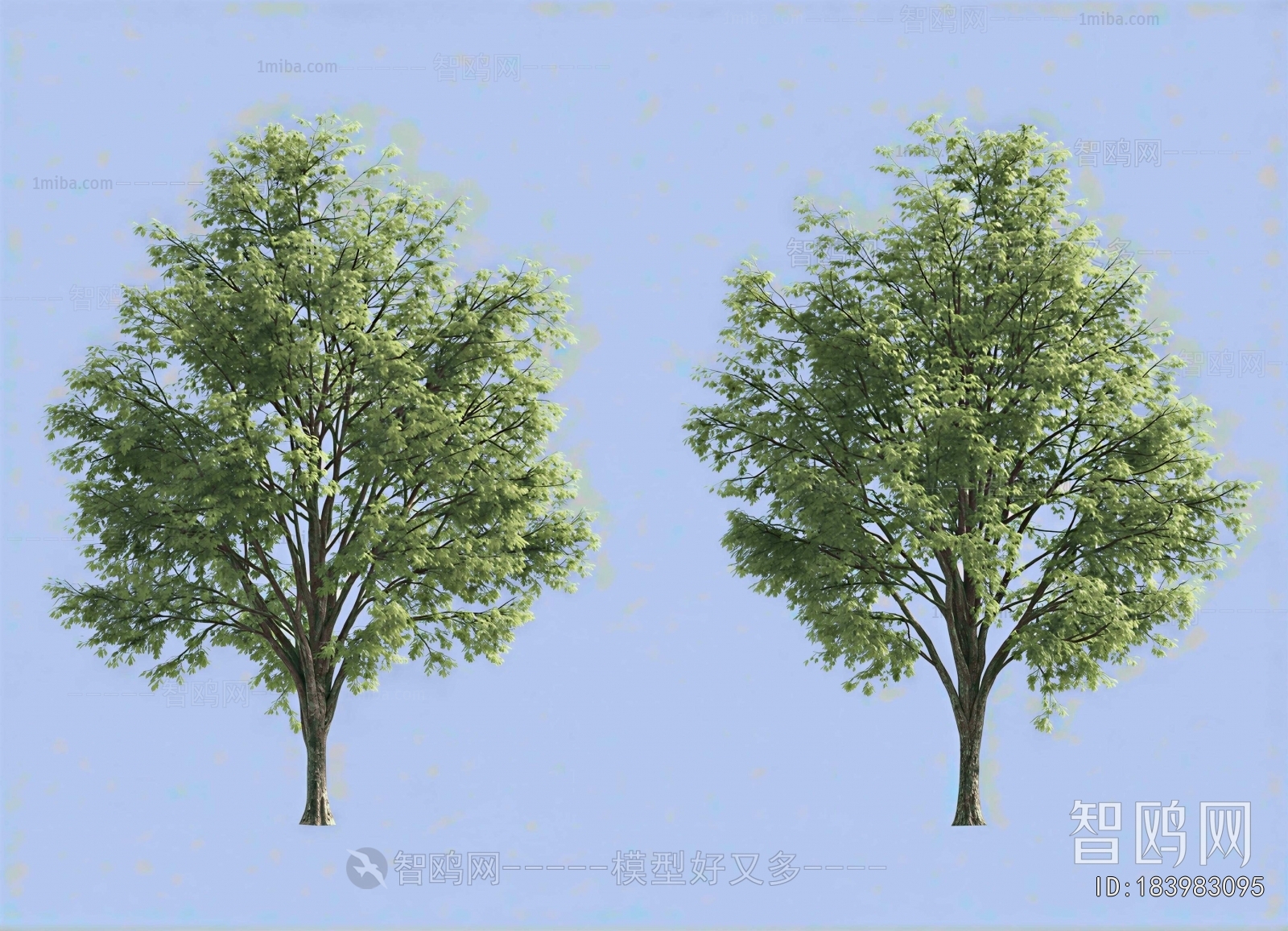 Modern Tree