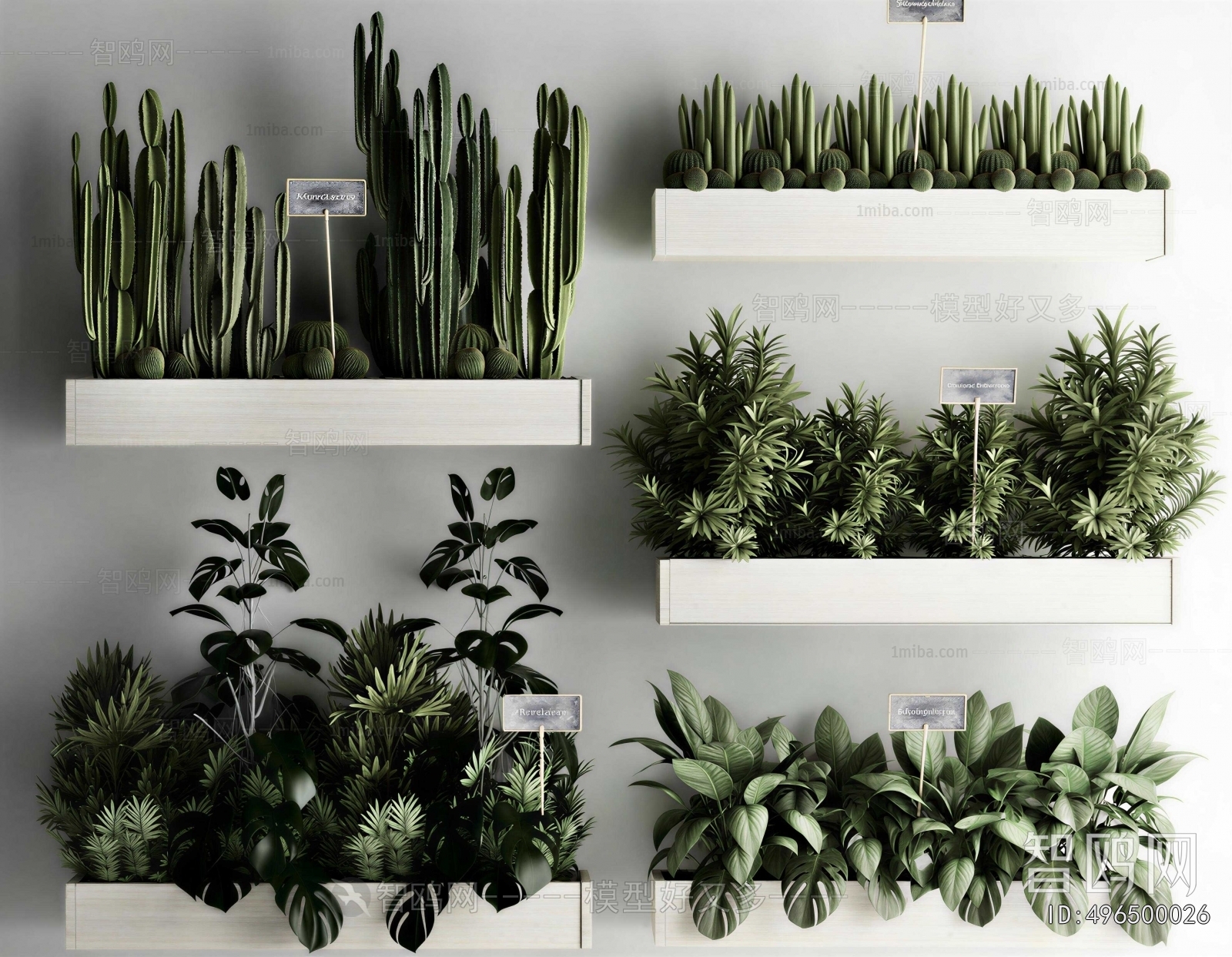 Modern Flower Bed, Flower Bowl, Flower Box