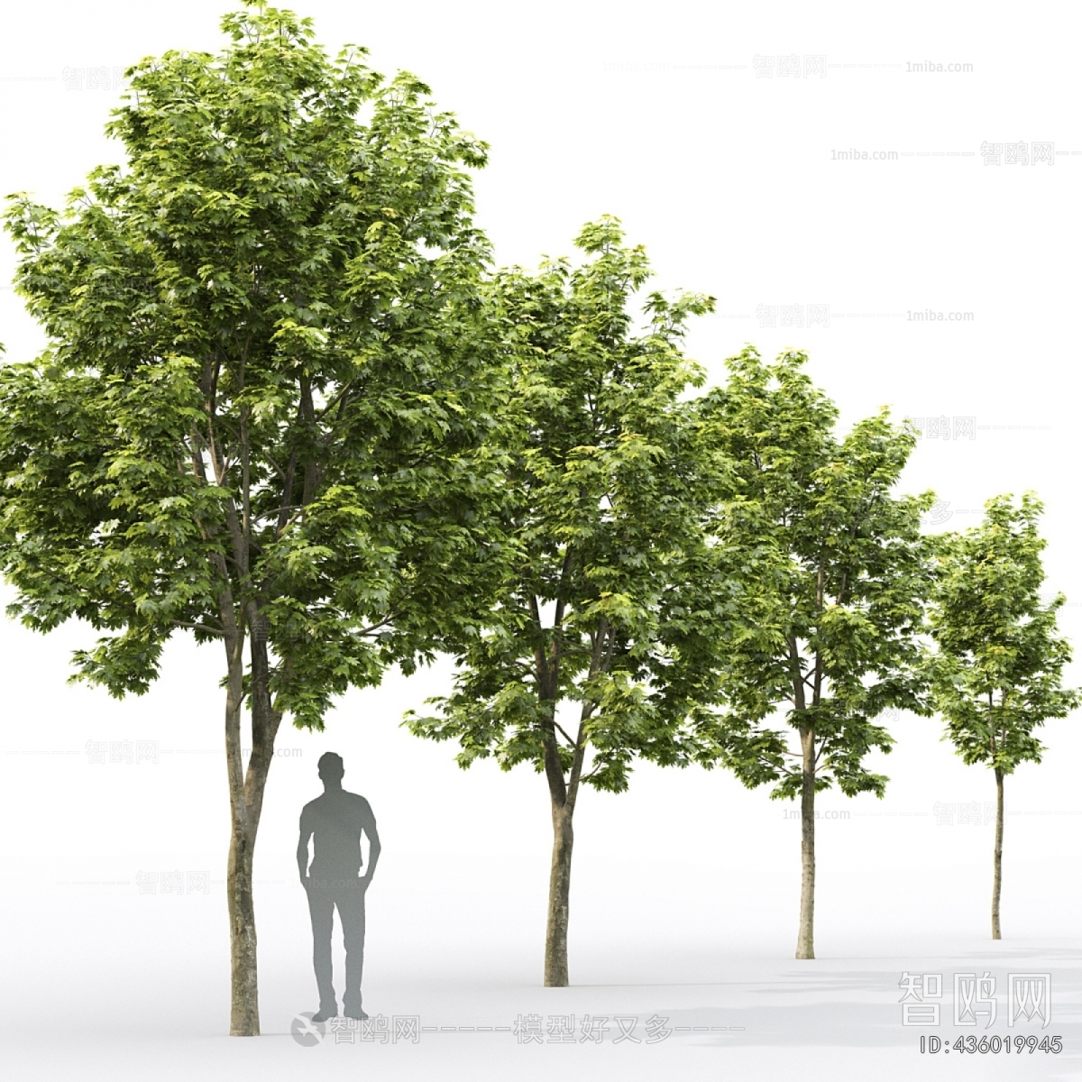 Modern Tree