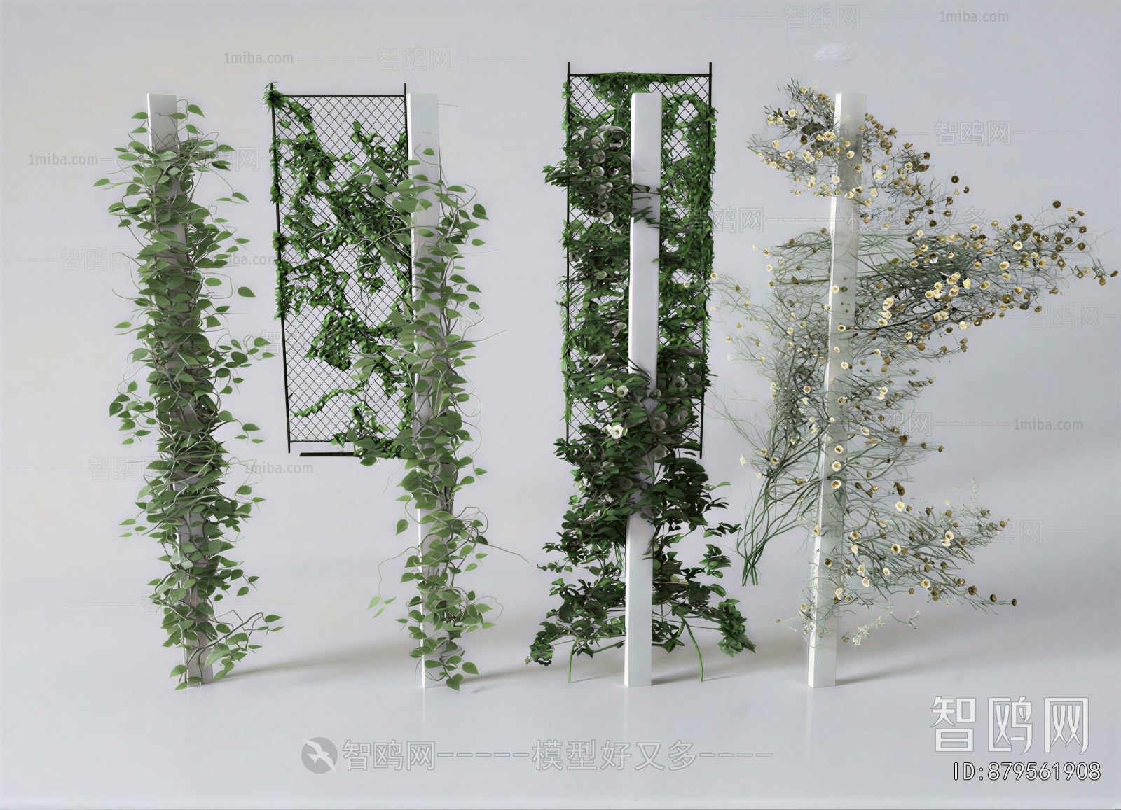 Modern Vine