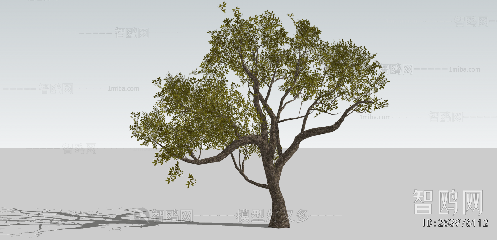 Modern Tree