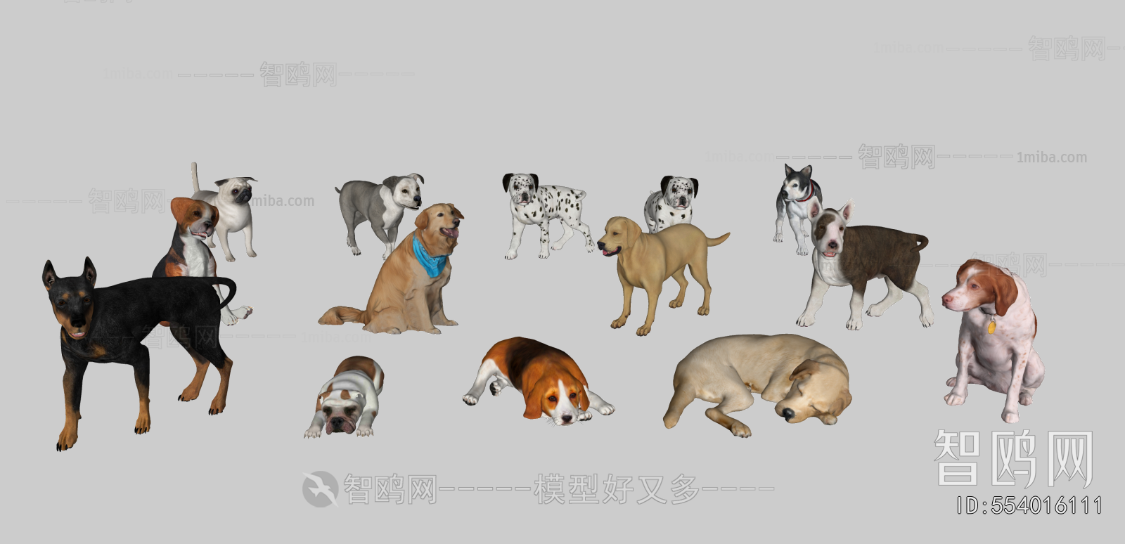 Modern Animal Dog