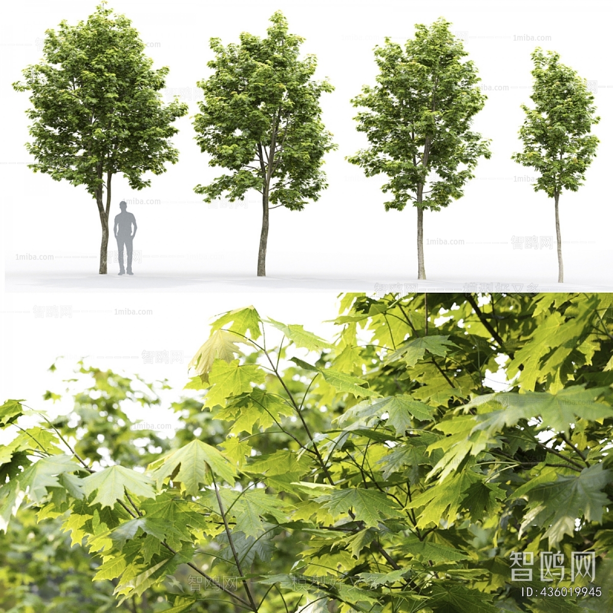 Modern Tree