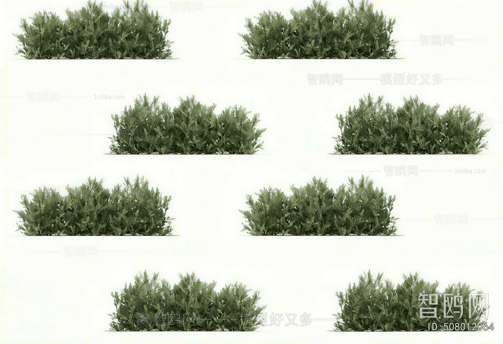 Modern Shrubbery