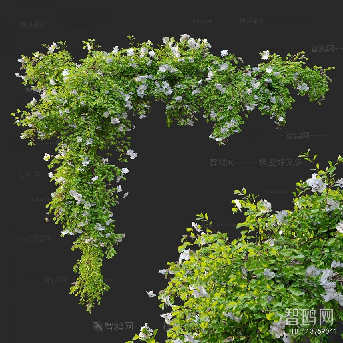 Modern Vine