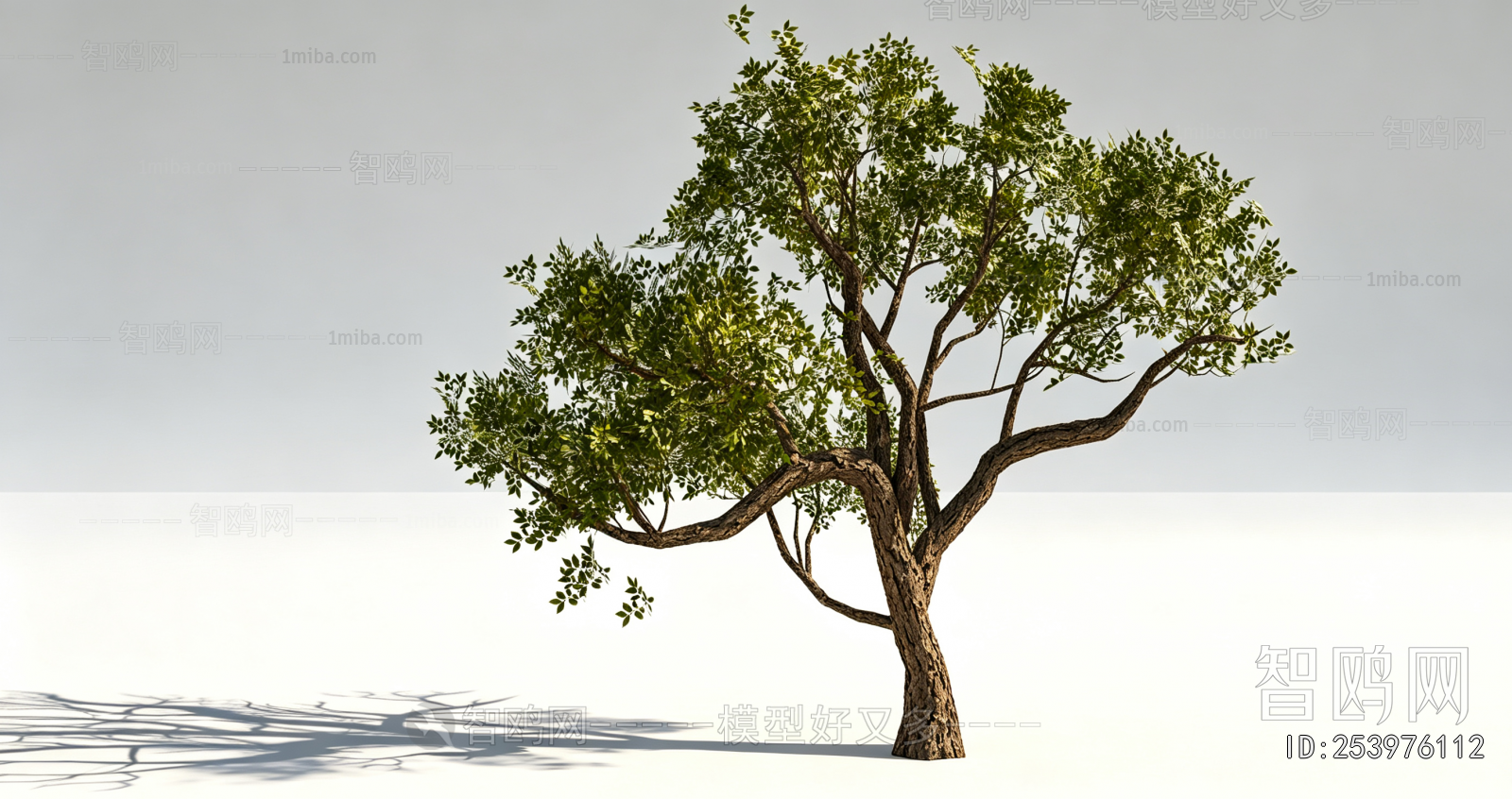 Modern Tree