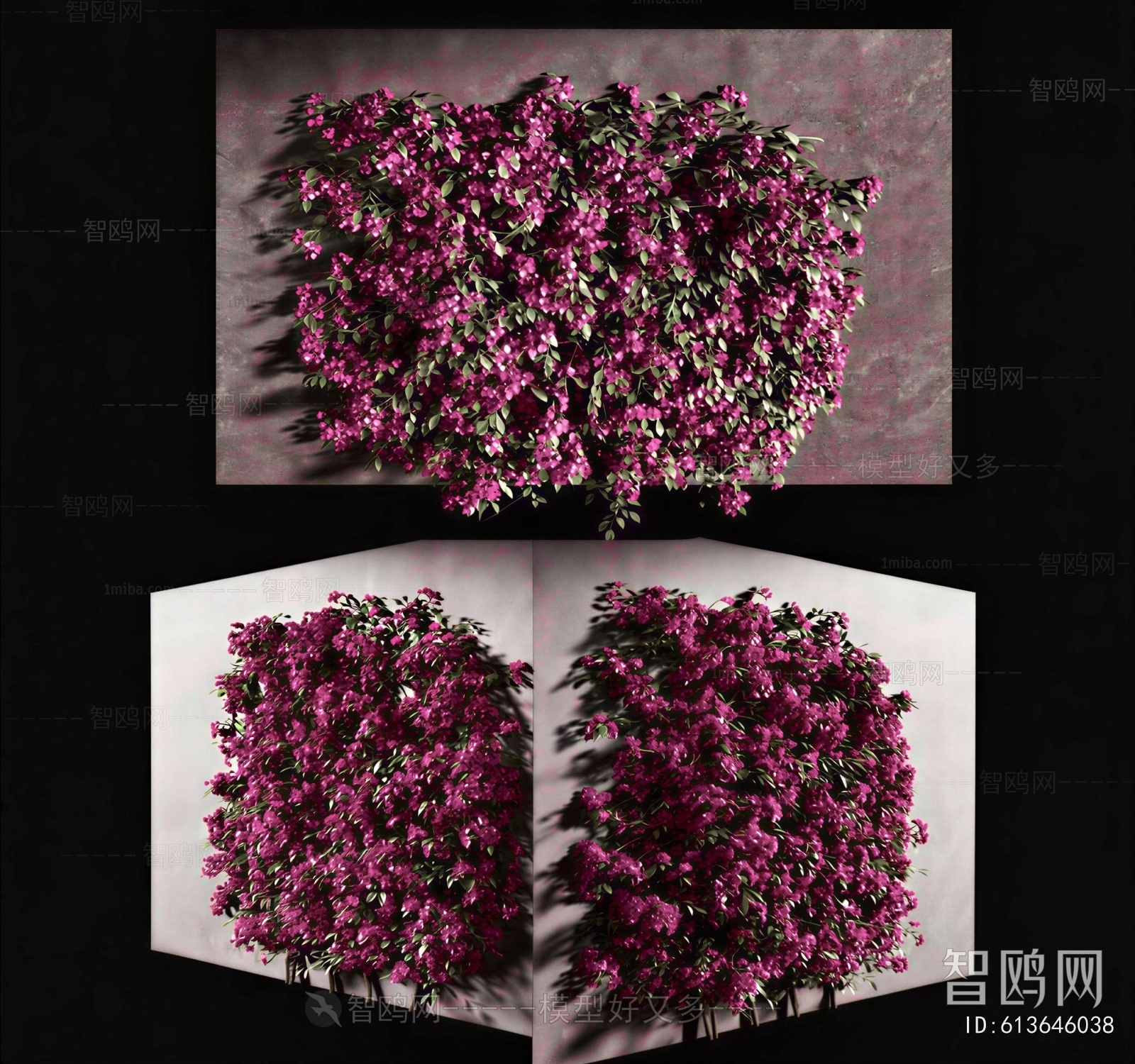 Modern Plant Wall
