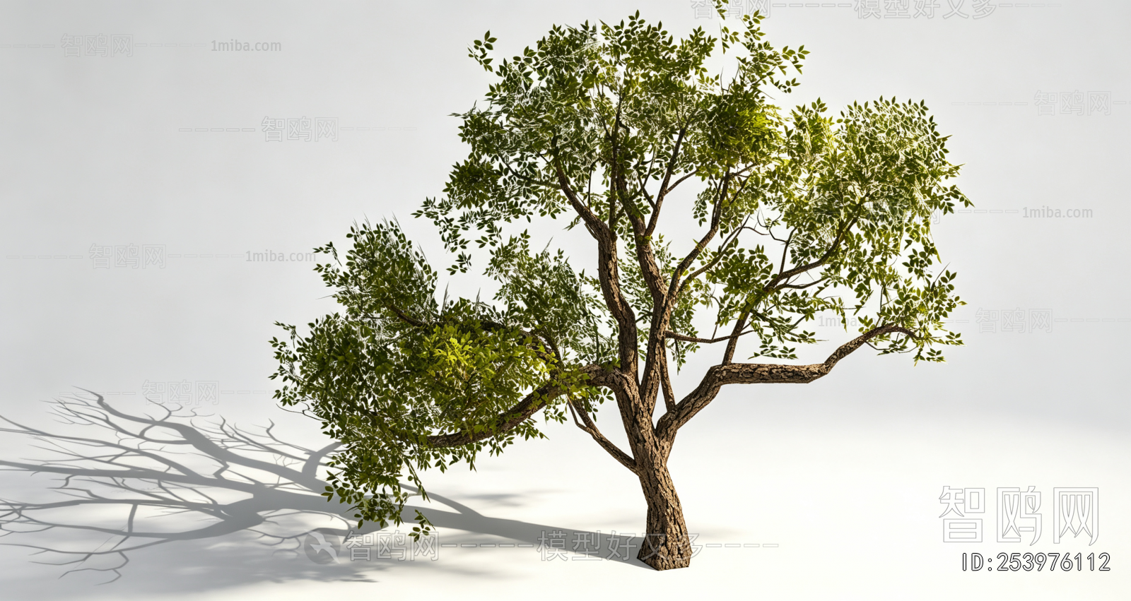 Modern Tree
