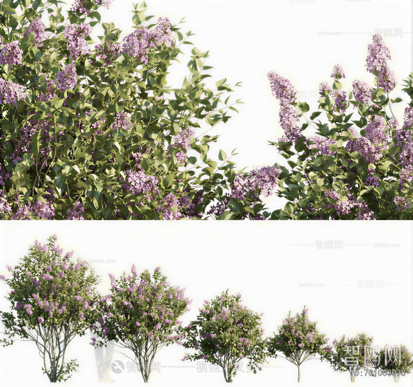 Modern Shrubbery