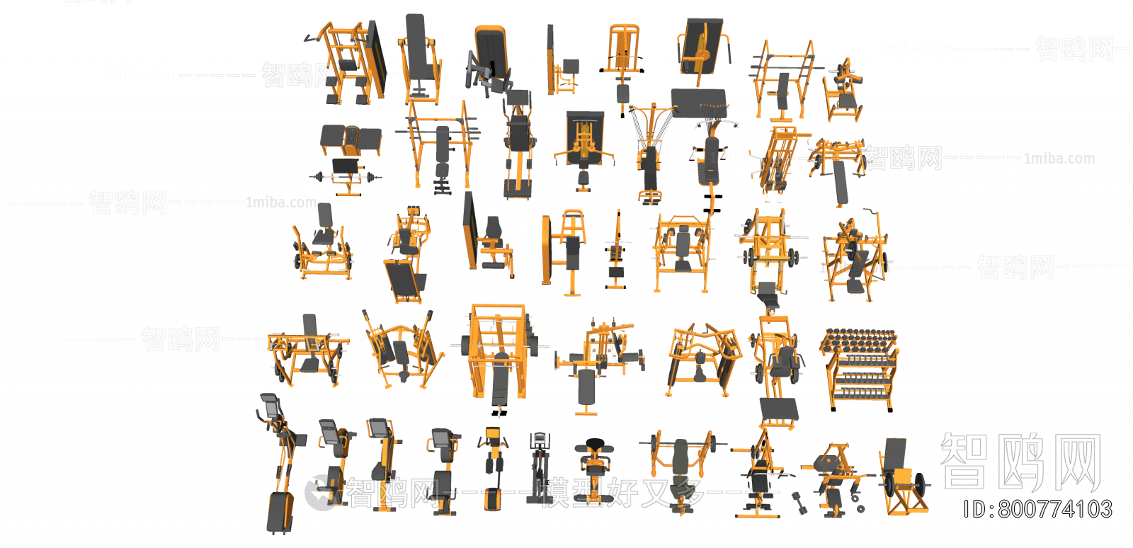 Modern Fitness Equipment