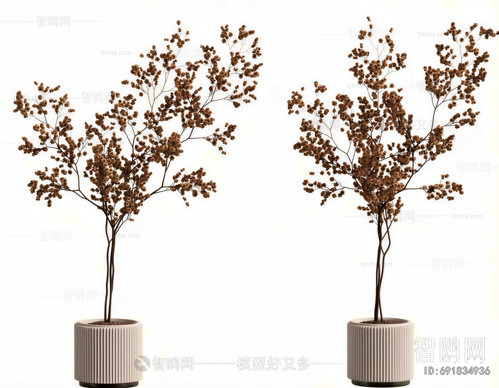Modern Ground Green Plant Potted Plants