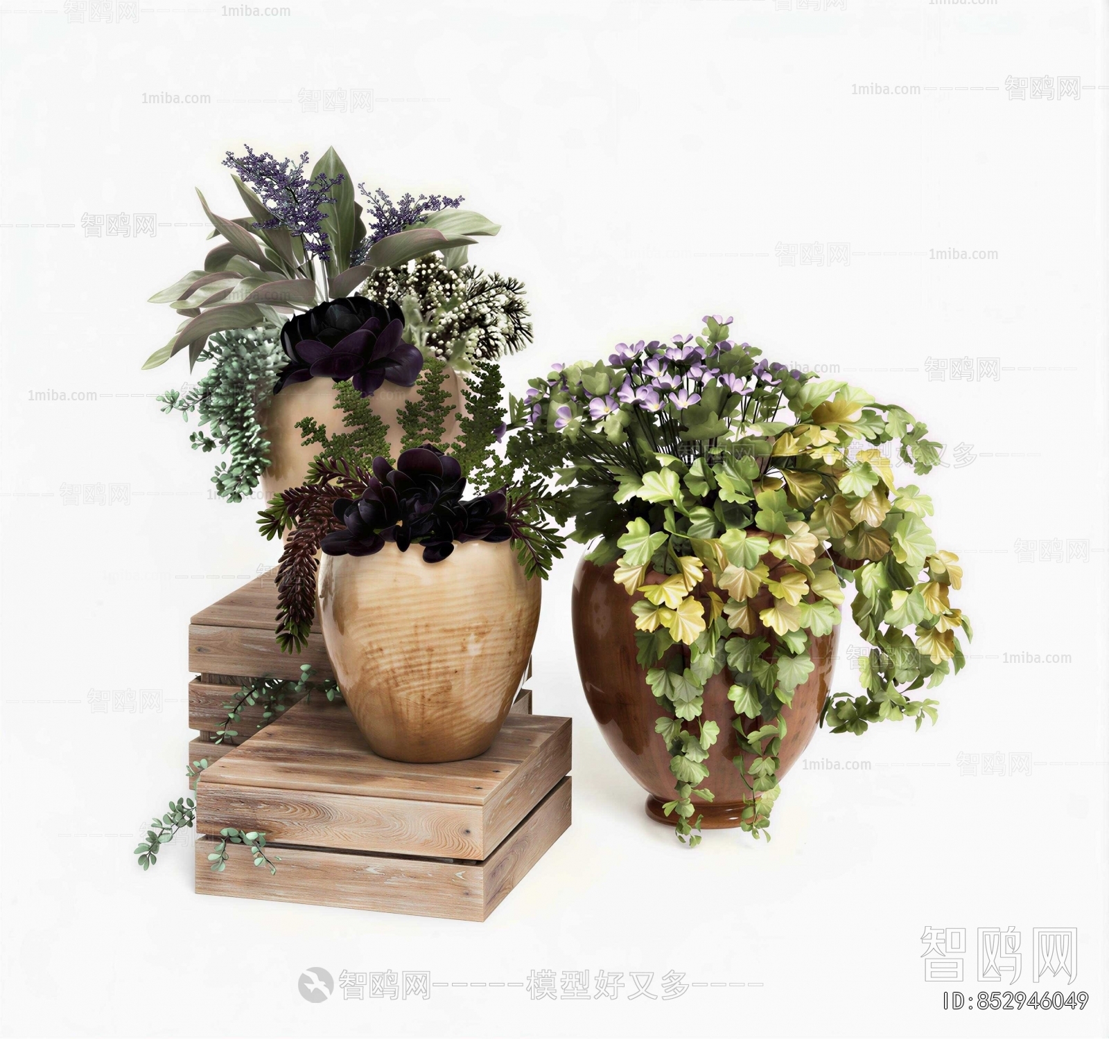 Wabi-sabi Style Potted Green Plant