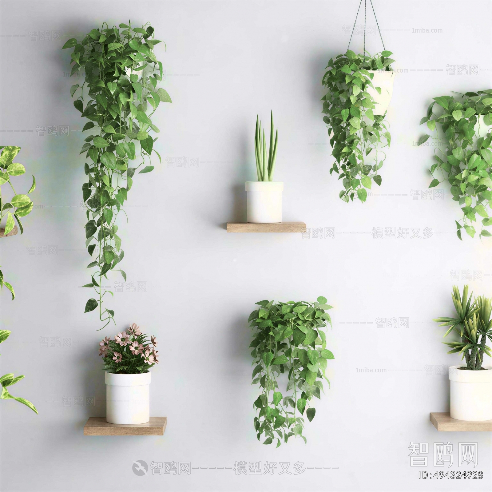 Modern Potted Green Plant