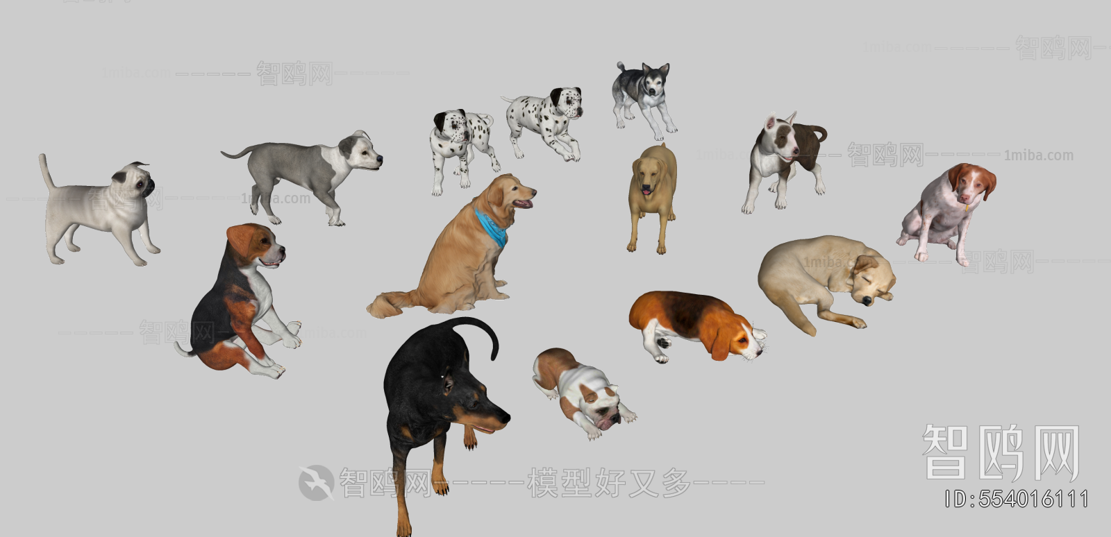 Modern Animal Dog