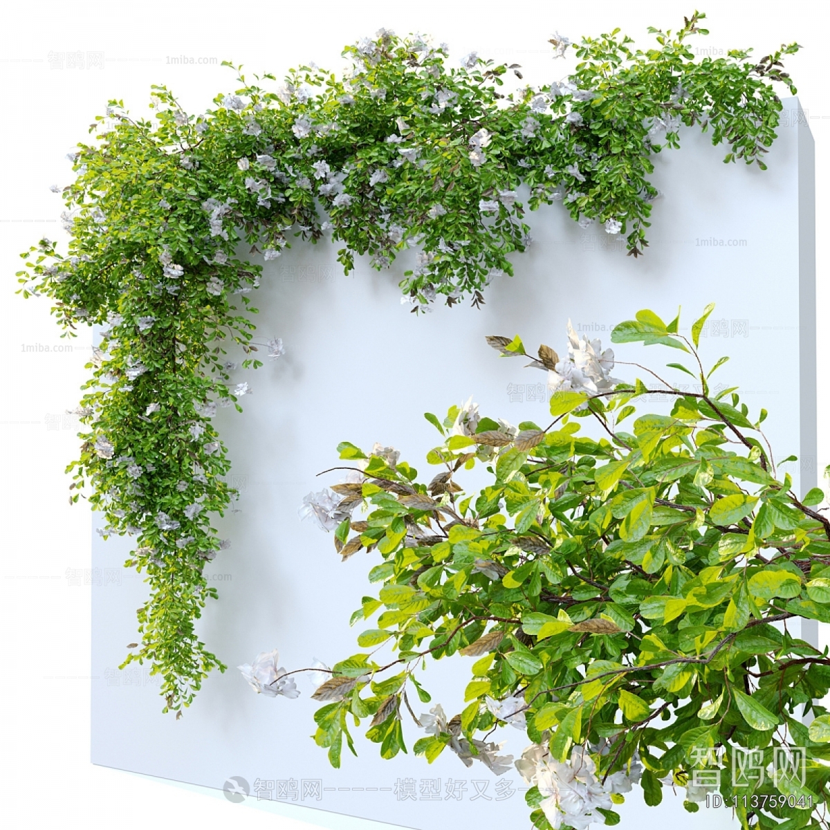 Modern Vine