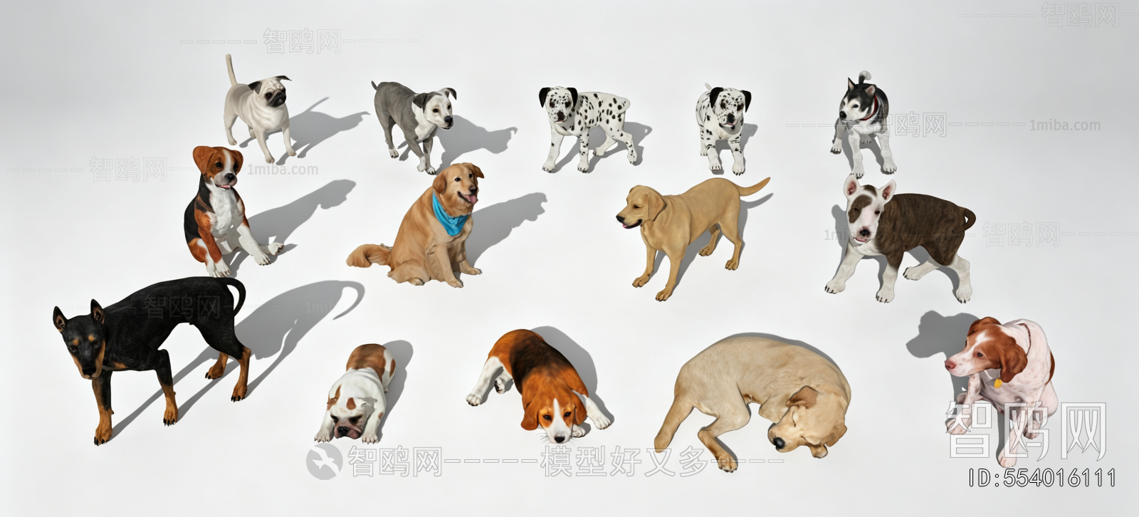 Modern Animal Dog
