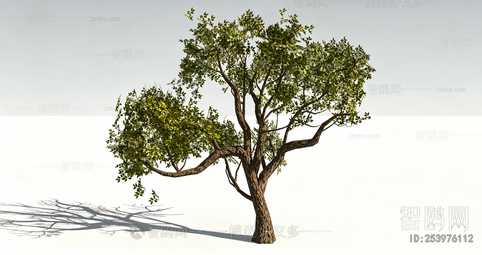 Modern Tree