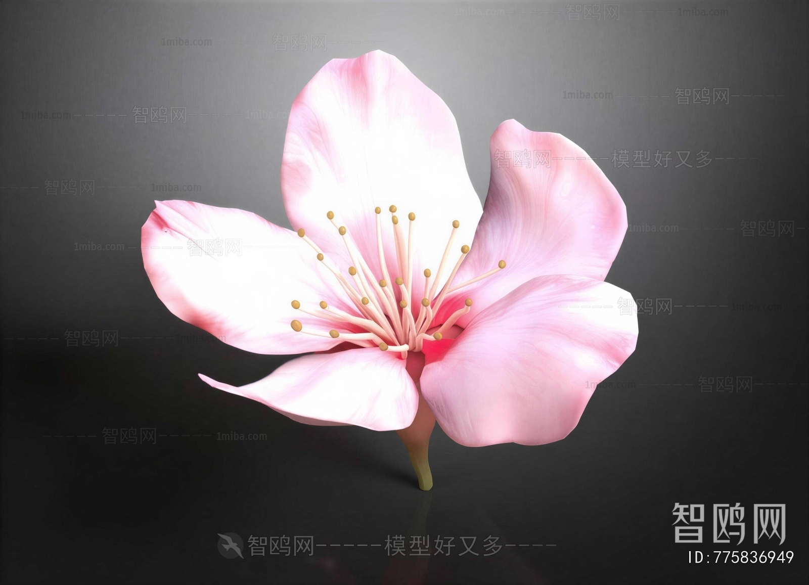 Modern Flowers And Grass