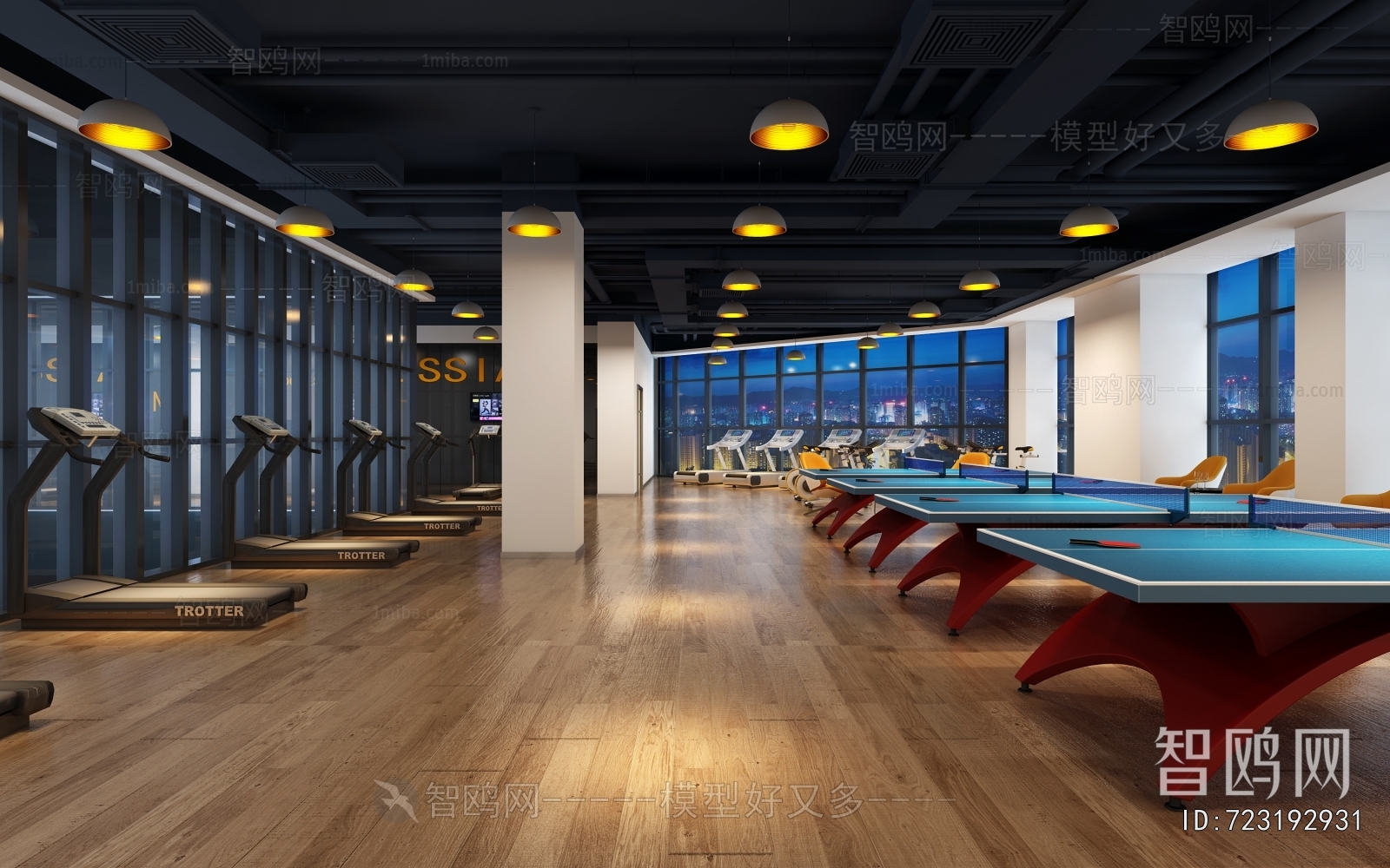 Modern Gym