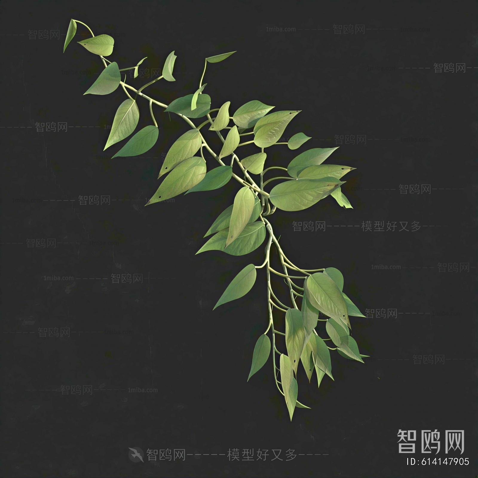 Modern Vine