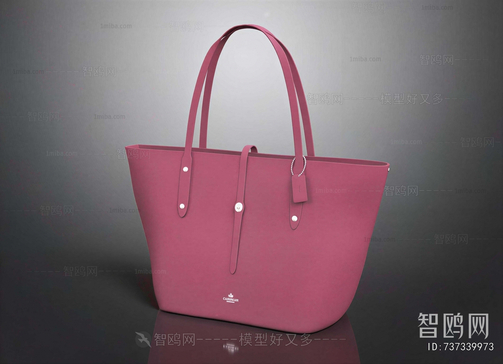 Modern Lady's Bag