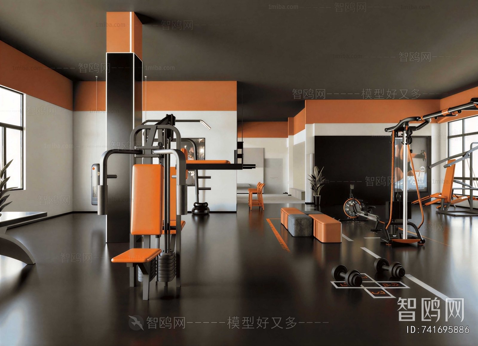 Modern Gym