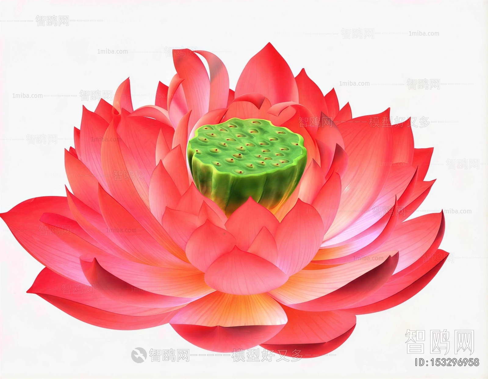 Modern Flowers And Grass