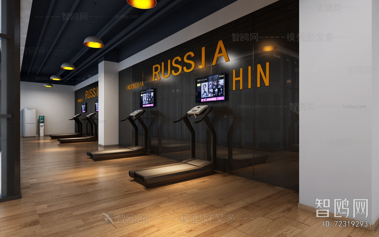 Modern Gym