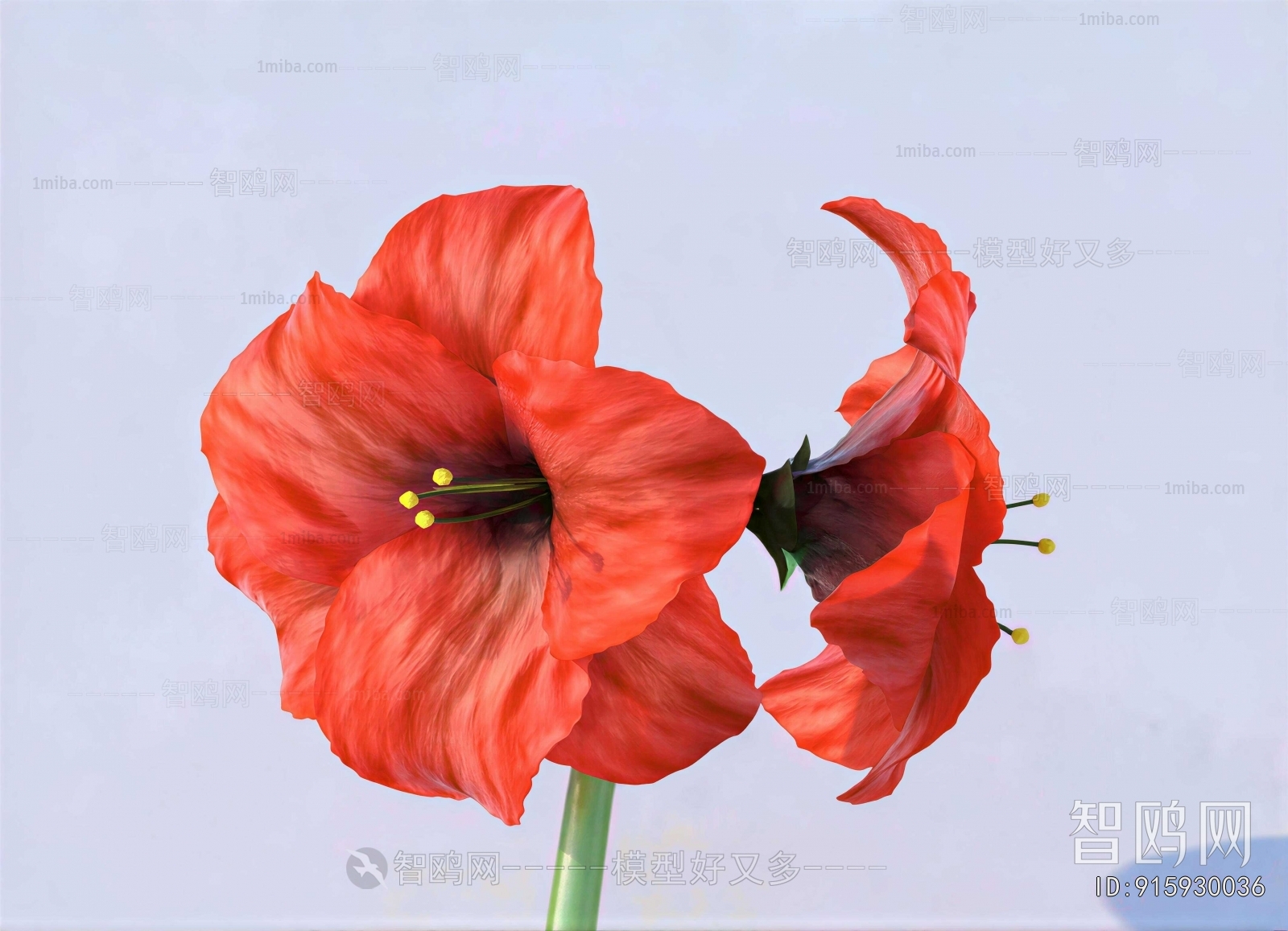 Modern Flowers And Grass