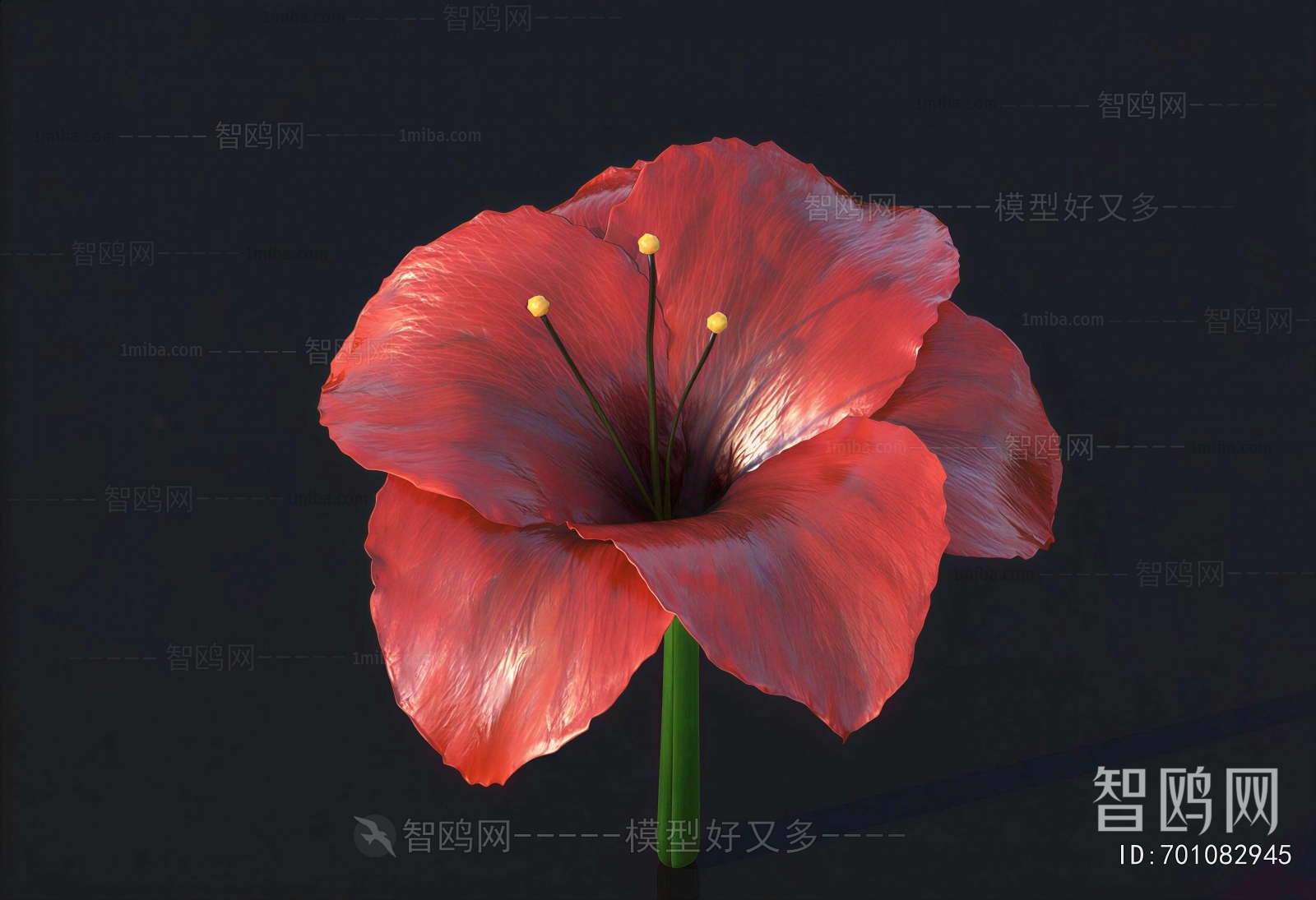 Modern Flowers And Grass