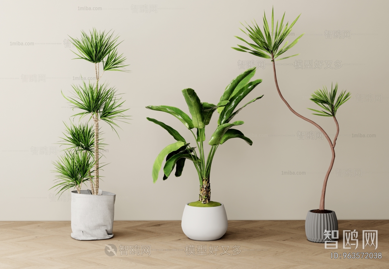 Modern Ground Green Plant Potted Plants