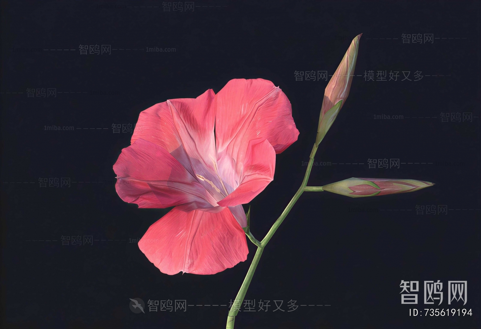 Modern Flowers And Grass