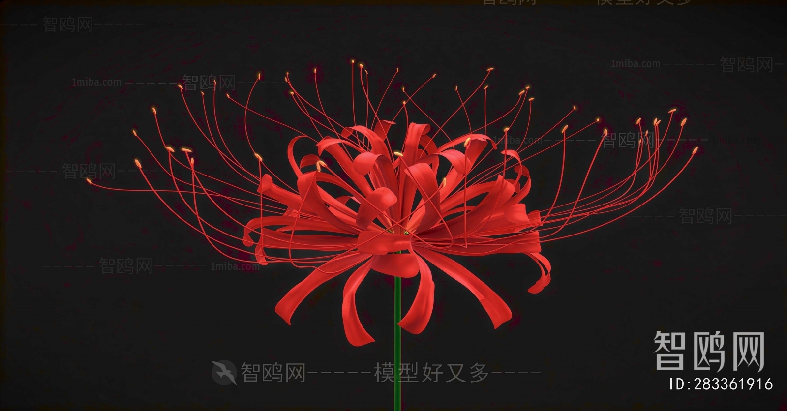 Modern Flowers And Grass