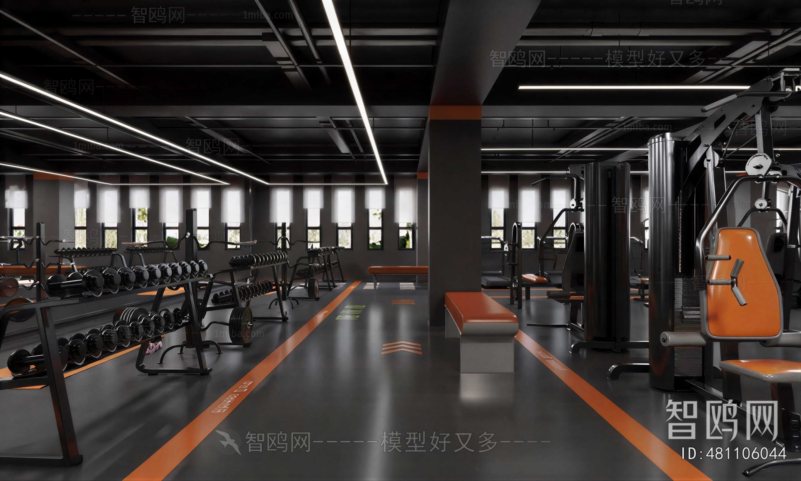 Industrial Style Gym