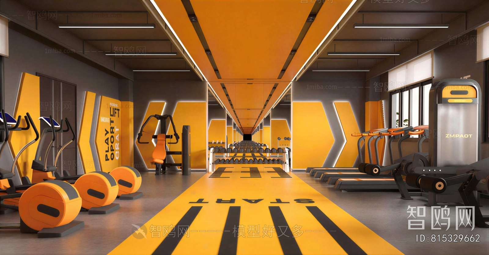 Industrial Style Gym