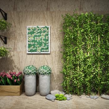 藤蔓绿植盆栽植物-模型ID【16914】