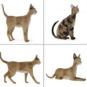 动物猫-模型ID【21580】