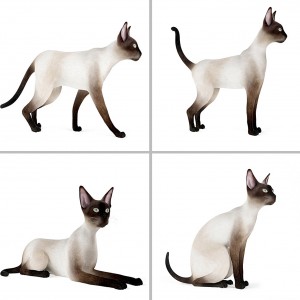 动物猫-模型ID【21581】