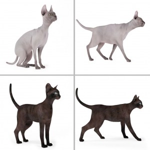 动物猫-模型ID【21583】