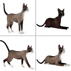 动物猫-模型ID【21584】