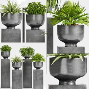 现代绿植盆栽-模型ID【25722】
