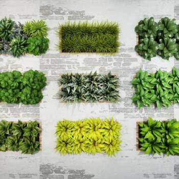 现代植物墙-模型ID【25361】