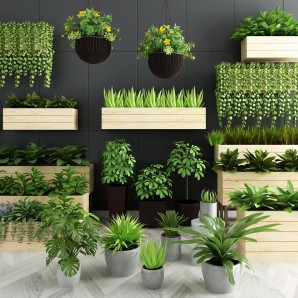 现代绿植盆栽灌木吊兰-模型ID【25298】