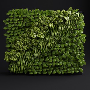 现代植物墙-模型ID【26480】