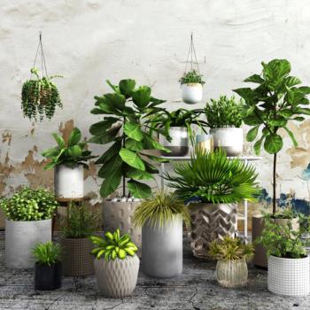 现代绿植盆栽-模型ID【28071】