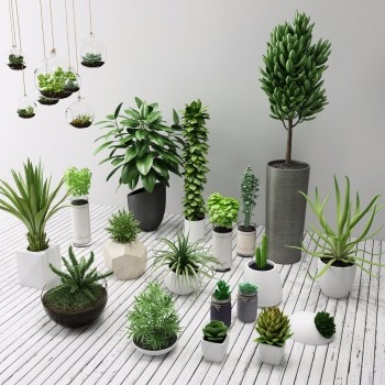 现代绿植盆栽-模型ID【29141】