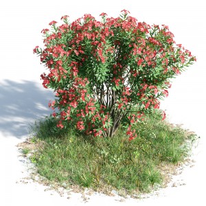 现代灌木/花草-模型ID【43094】