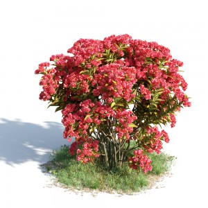 现代灌木/花草-模型ID【43058】
