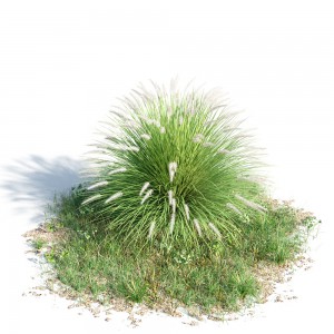 现代灌木/花草-模型ID【43044】